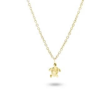 n°150g Tartarughina