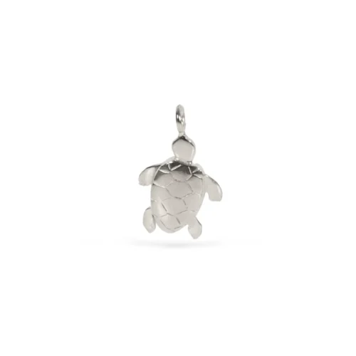 n°150 Tartarughina