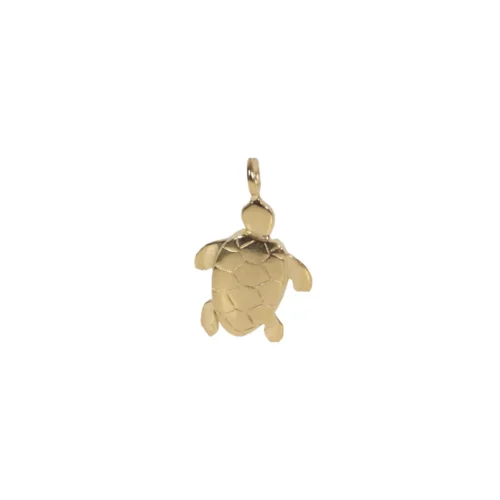 n°150g Tartarughina