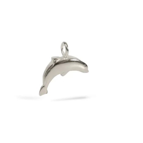 n°152 Delfino