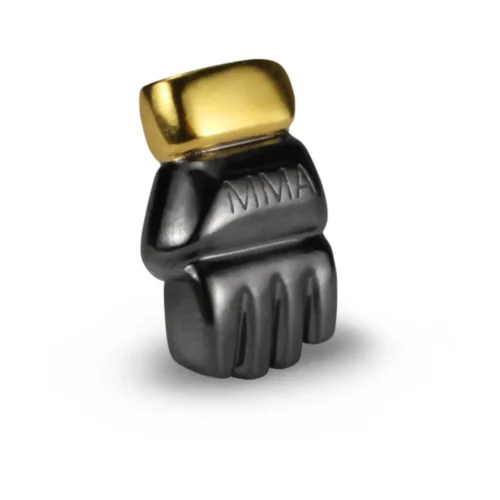 n°44 MMA