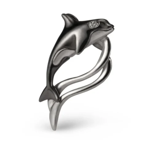 n°48 Orca con onda
