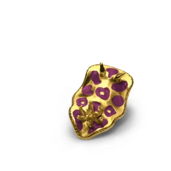n°50e Nudibranco