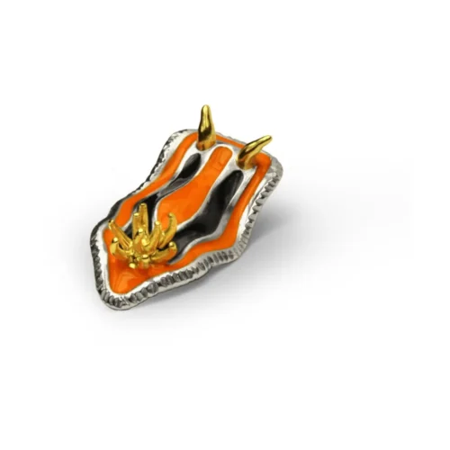 n°50f Nudibranco