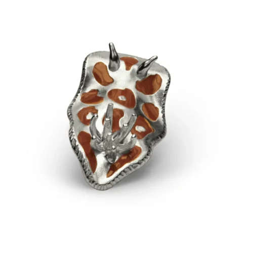 n°50m Nudibranco