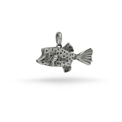 n°69 Pesce Scatola
