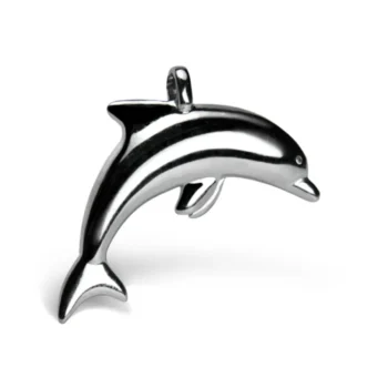 n°8 Delfino