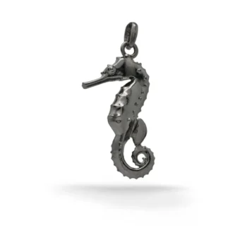 n°83b Hippocampus