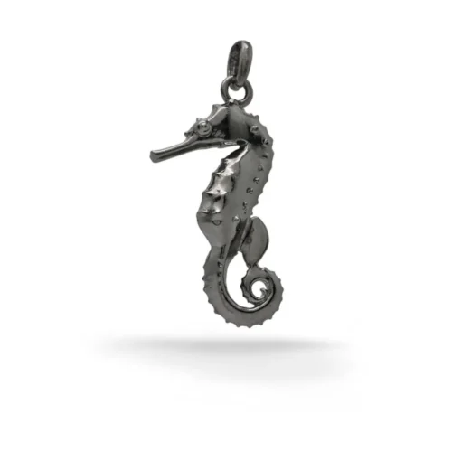 n°83b Hippocampus
