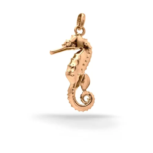 n°83r Hippocampus