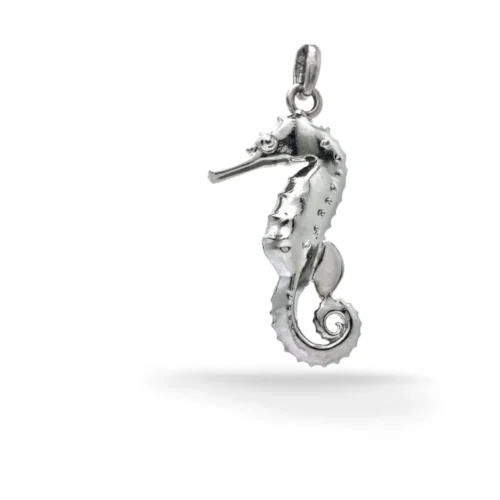 n°83s Hippocampus