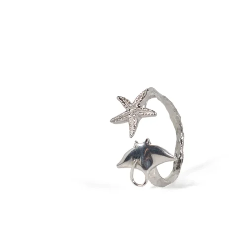 n°912 Anello Stella e delfino