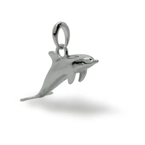 n°96 Delfino 2